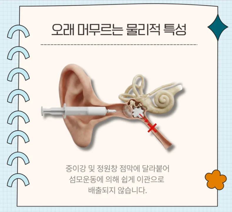 오래 머무르는 물리적 특성 카드: 중이강 및 정원창 점막에 달라붙어 섬모운동에 의해 쉽게 이관으로 배출되지 않습니다
