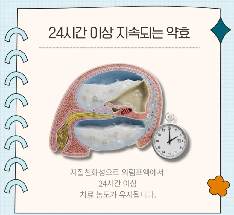 24시간 이상 지속되는 약효 카드: 지질친화성으로 외림프액에서 24시간 이상 치료 농도가 유지됩니다